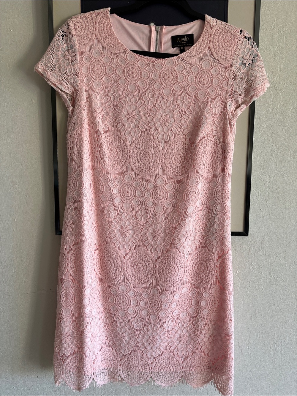 Laundry By Shelli Segal Pale Pink Lace Shift Dress